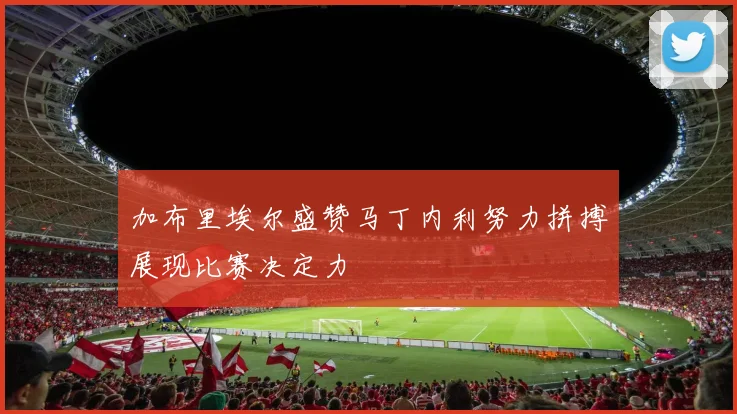 加布里埃尔盛赞马丁内利努力拼搏展现比赛决定力
